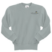 YOUTH, Crewneck Sweatshirt, i4Learning logo_full color